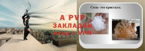 шишки Аркадак