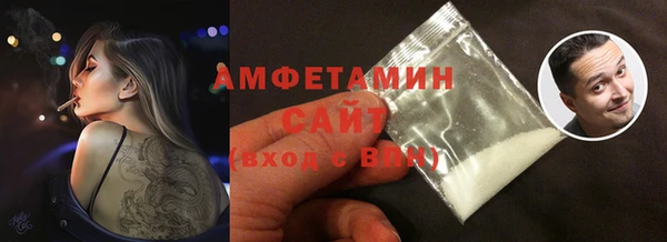 шишки Аркадак