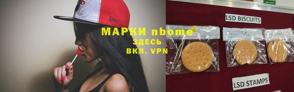 шишки Аркадак