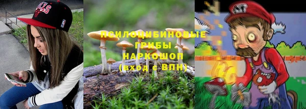 соль ск Арсеньев
