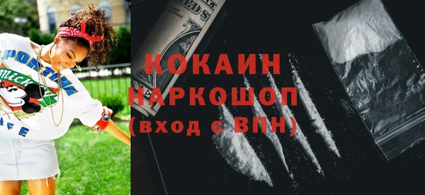соль ск Арсеньев