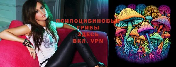 шишки Аркадак