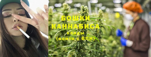 шишки Аркадак