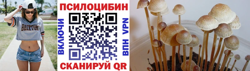 mega ССЫЛКА  Кулебаки  Галлюциногенные грибы мухоморы 